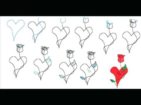 480x360 Step - Simple Rose Drawing Step By Step