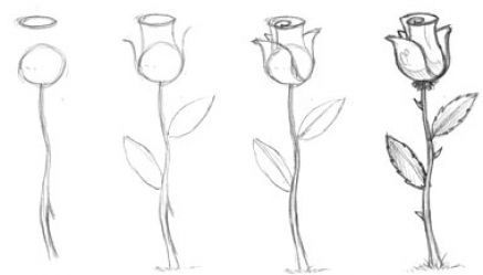 437x249 Easy Flowers To Draw For Beginners Step - Simple Rose Drawing Step By Step