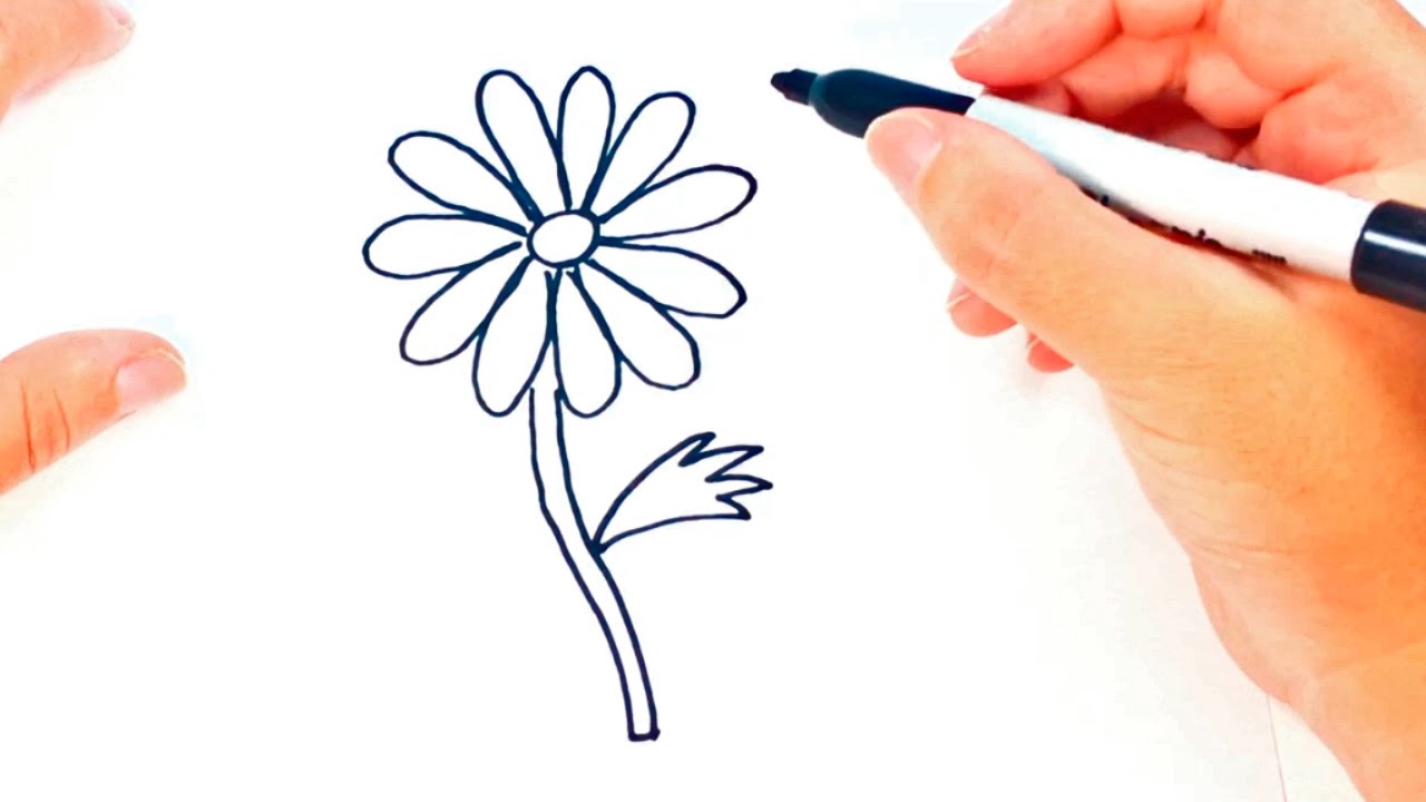 1280x720 How To Draw A Daisy Flower Daisy Flower Easy Draw Tutorial - Simple Rose Drawing Tutorial