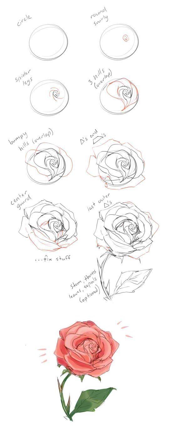 540x1380 How To Draw Roses Zavtrak Drawings, Art, Art Drawings - Simple Rose Drawing Tutorial