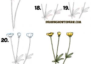 300x210 simple flower drawing steps how to draw a hibiscus flower stepstep - Simple Rose Drawing Tutorial