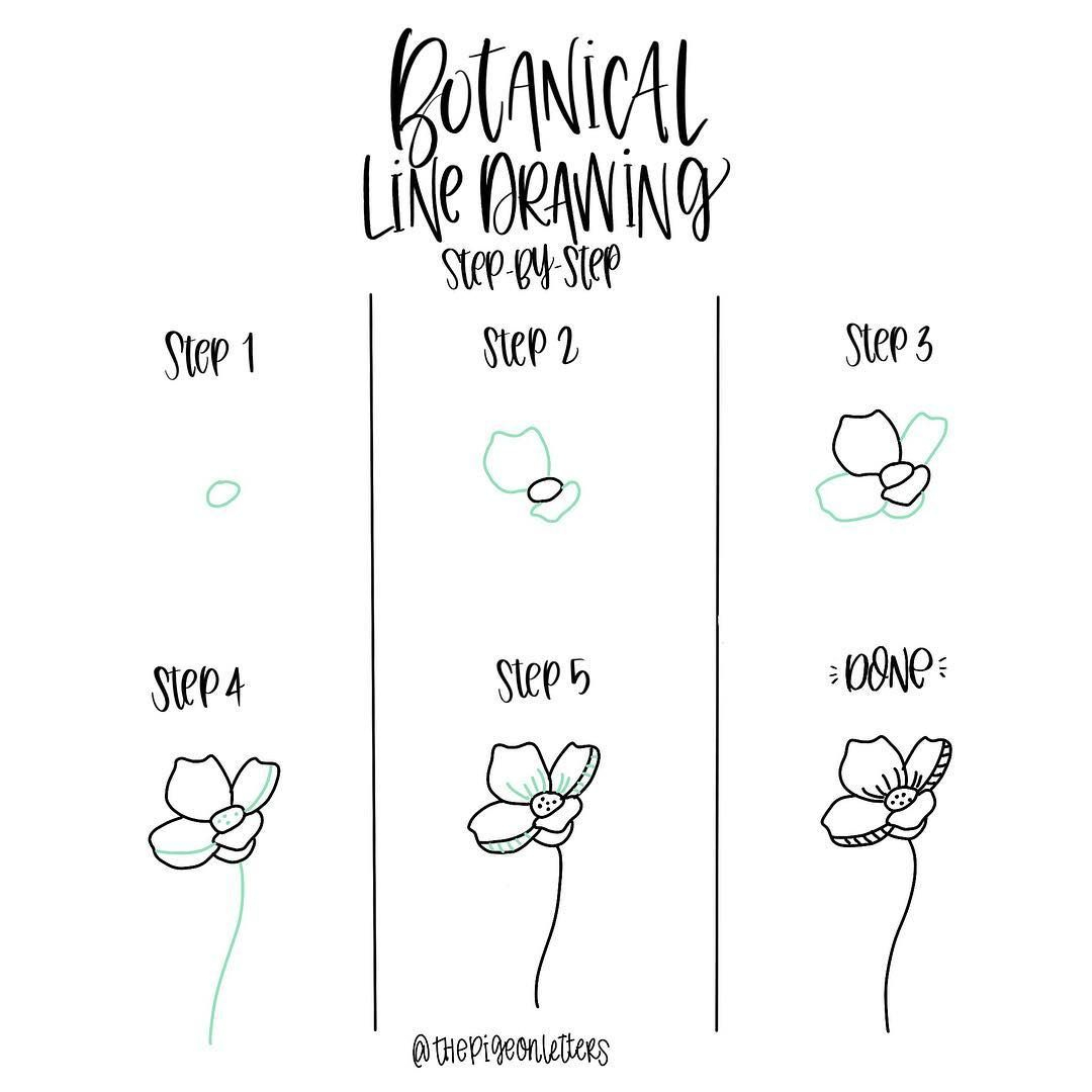 1080x1080 Simple Flower Drawing Tutorial And Step - Simple Rose Drawing Tutorial