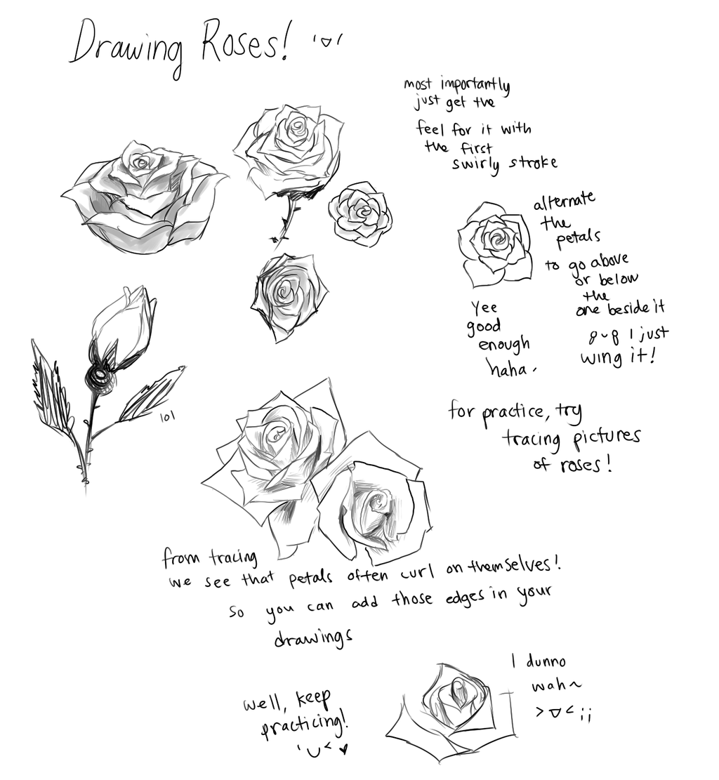 1024x1111 Rose Drawing Tutorial For Free Download - Simple Rose Drawing Tutorial