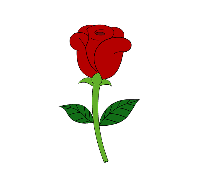 678x600 How To Draw A Simple Rose Easy Drawing Guides - Simple Rose Flower Drawing