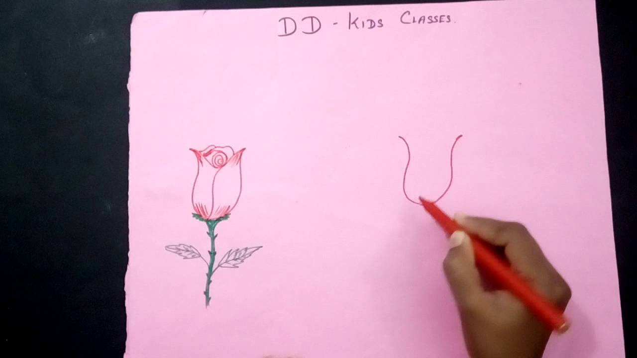 1280x720 how to draw a rose flower simple rose flower drawing for kids - Simple Rose Flower Drawing