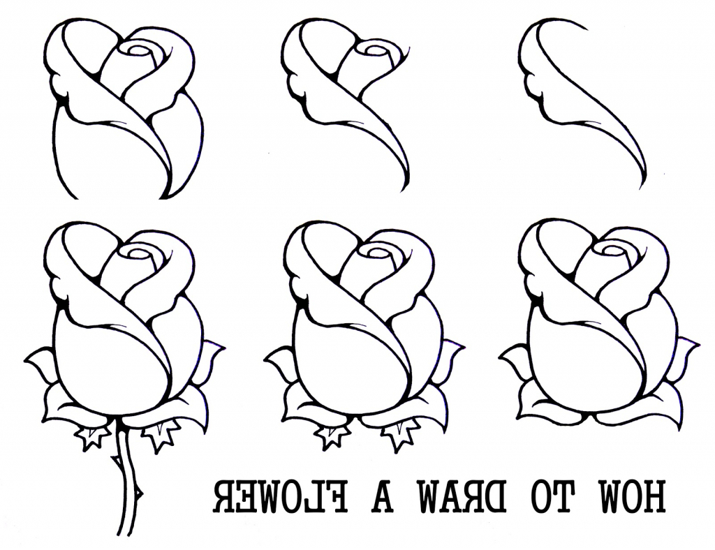 1024x788 Huge Collection Of 'rose Flower Drawing Step - Simple Rose Flower Drawing