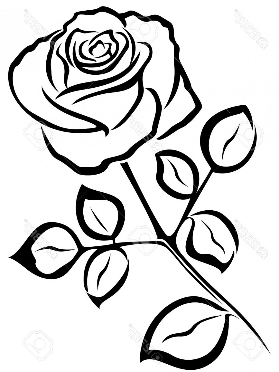 945x1261 Rose Drawing Black And White Simple Rose Drawings In Black - Simple Rose Flower Drawing