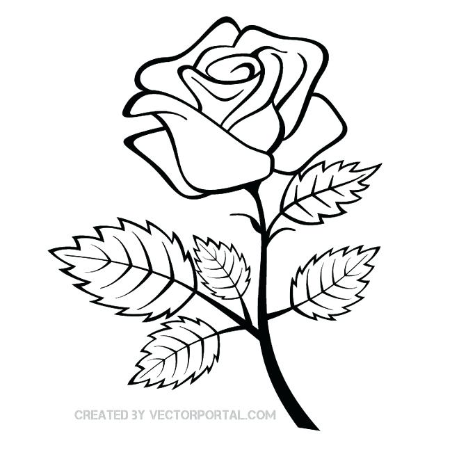 660x660 Rose Outline Drawing Simple Rose Outline Drawing Free Coloring - Simple Rose Flower Drawing