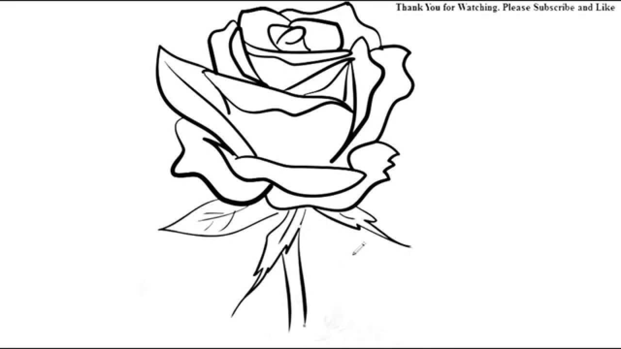 1280x720 How To Draw A Rose Flower Easy Line Drawing Sketch - Simple Rose Line Drawing