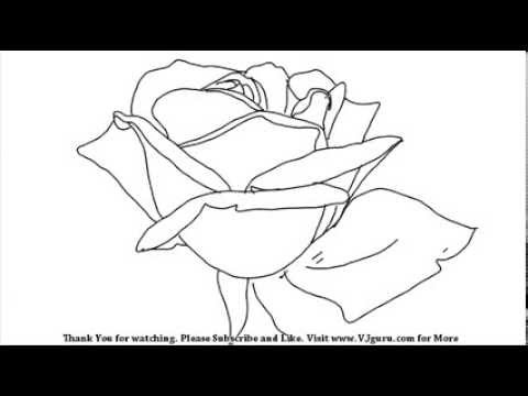 480x360 How To Draw An Open Rose Simple Line Drawing - Simple Rose Line Drawing