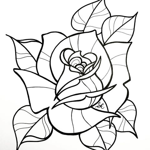 480x480 Huge Collection Of 'rose Line Drawing' Download More Than - Simple Rose Line Drawing