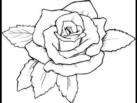 480x360 Pk How To Draw A Rose Easy Lines Tutorial - Simple Rose Line Drawing