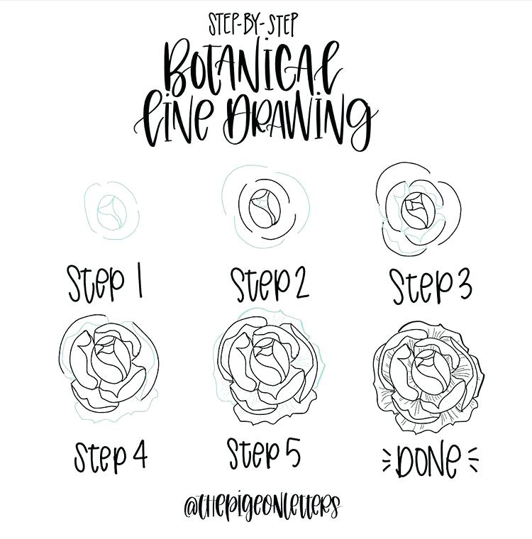 750x760 simple flowers drawing how to draw simple flowers step simple - Simple Rose Line Drawing