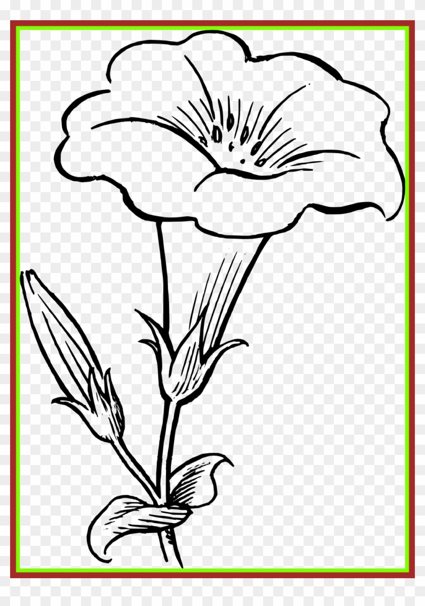 840x1199 Simple Flowers Line Drawing - Simple Rose Line Drawing