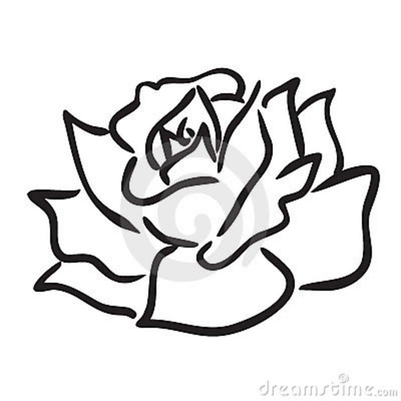 800x800 Simple Line Drawings - Simple Rose Line Drawing