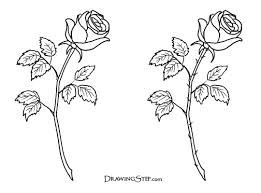 261x193 Simple Rose Line Drawing - Simple Rose Line Drawing