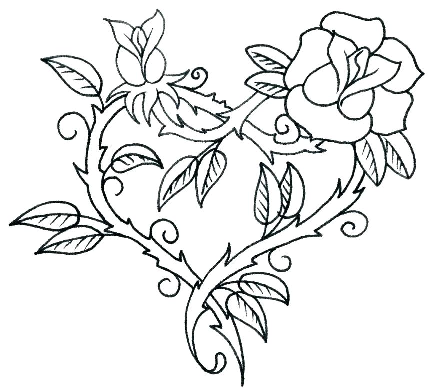 863x783 Flower Drawing Outline Simple Rose Line Drawing Best Of Rose - Simple Rose Line Drawing