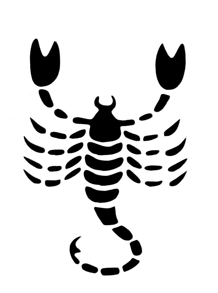 Simple Scorpion Drawing