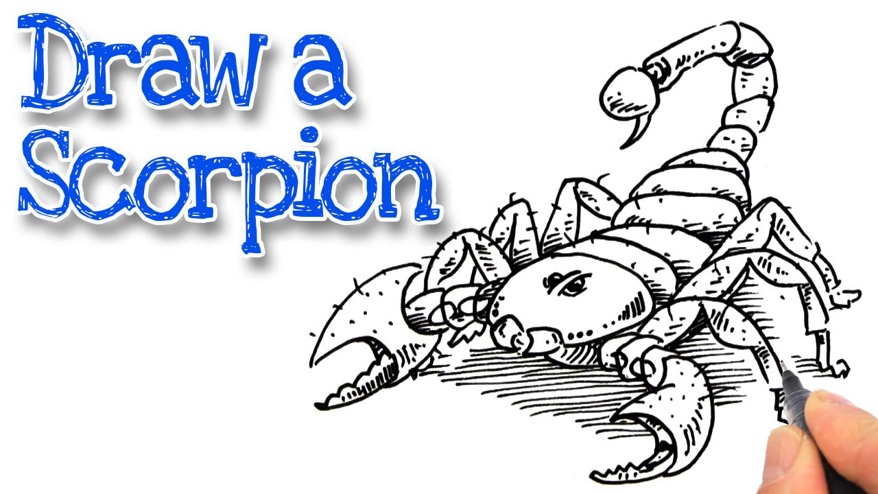 1280x720 How To Draw A Scorpion Real Easy - Simple Scorpion Drawing