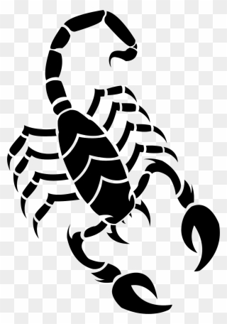 320x456 Scorpion Art Arachnid Animal Drawing - Simple Scorpion Drawing