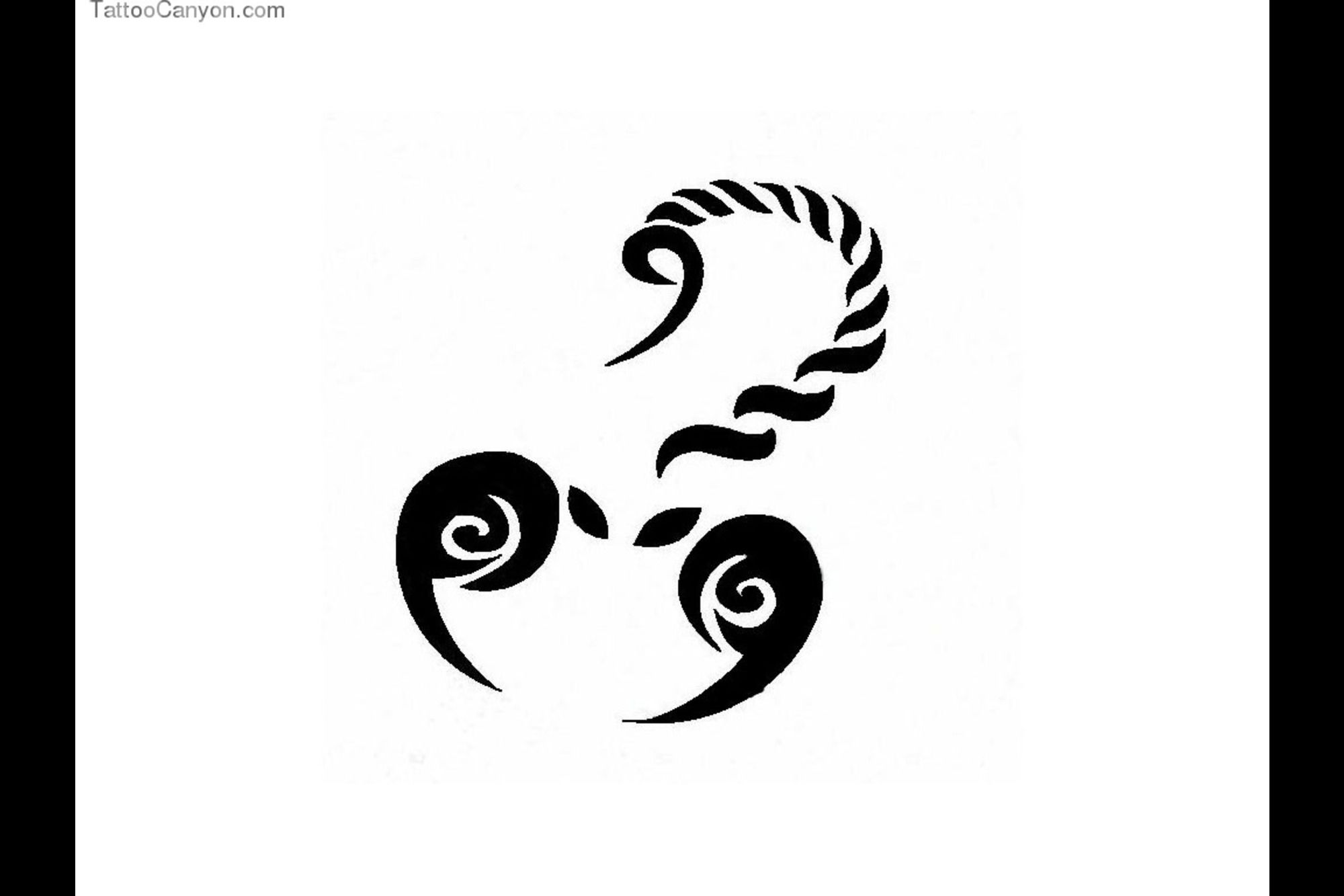 2000x1333 scorpion tattoo drawings go back gt images for gt simple scorpion - Simple Scorpion Drawing