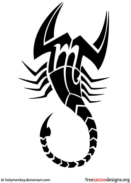 499x700 Simple Scorpio Tattoos Drawings Ideas And Designs - Simple Scorpion Drawing