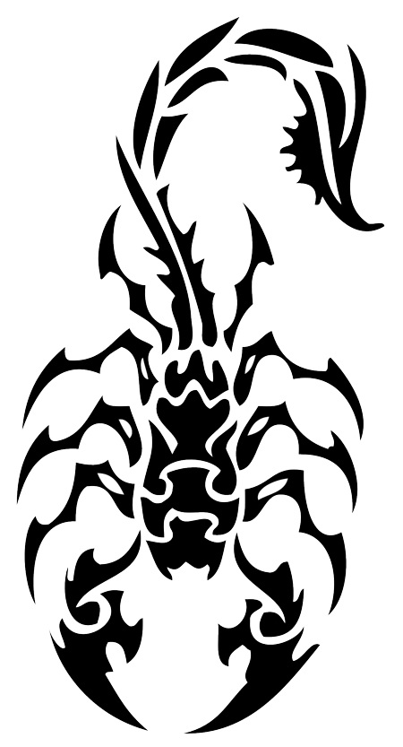 450x833 Simple Scorpion Tattoo Drawings - Simple Scorpion Drawing