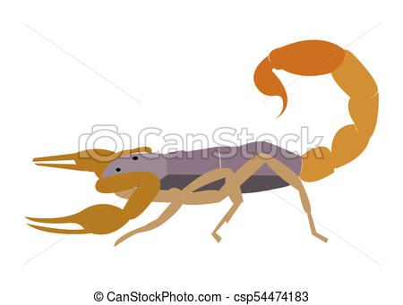 450x341 Simple Scorpion Illustration - Simple Scorpion Drawing