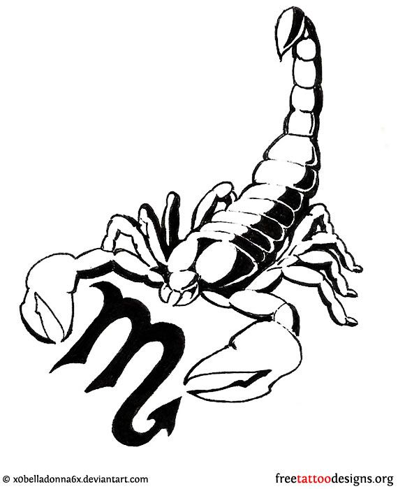 570x700 tattoo trends - Simple Scorpion Drawing