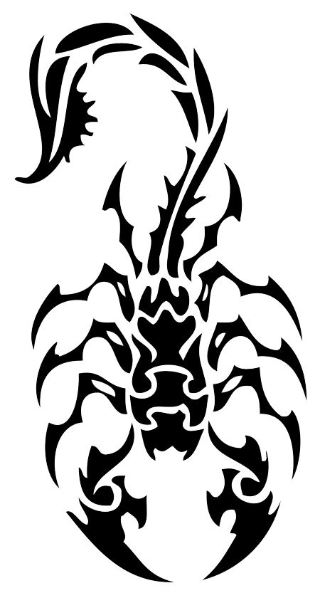 450x833 Tribal Scorpion Tattoos Ideas - Simple Scorpion Drawing