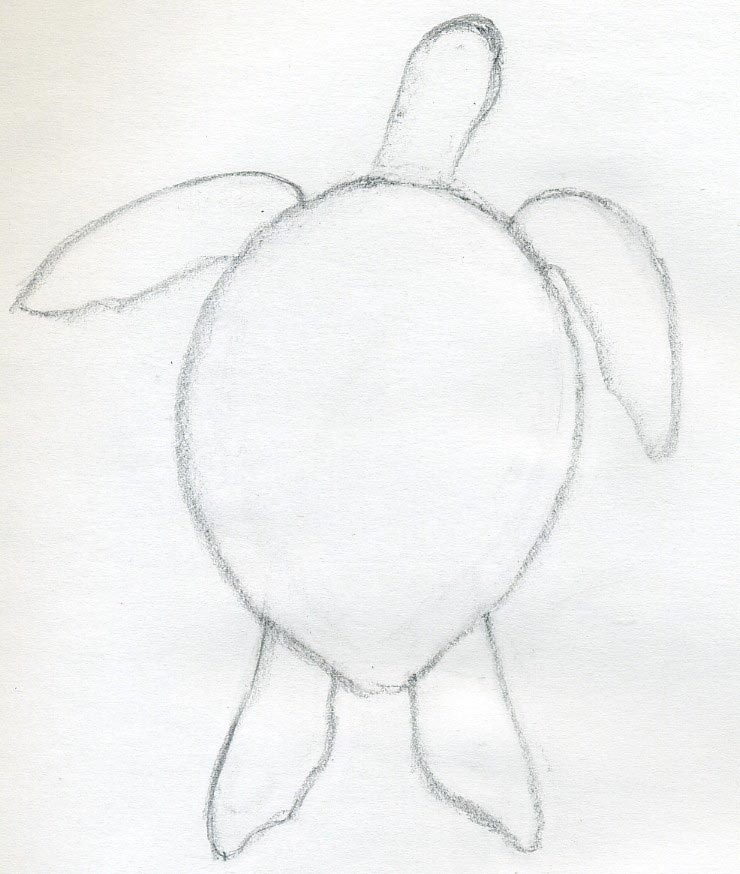 740x874 How To Draw A Turtle - Simple Sea Turtle Drawing