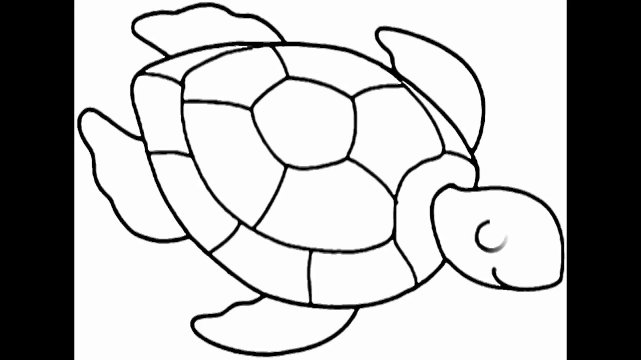 Simple Sea Turtle Drawing at Explore