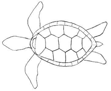 363x299 turtle outline diy crafts turtle painting, turtle outline - Simple Sea Turtle Drawing