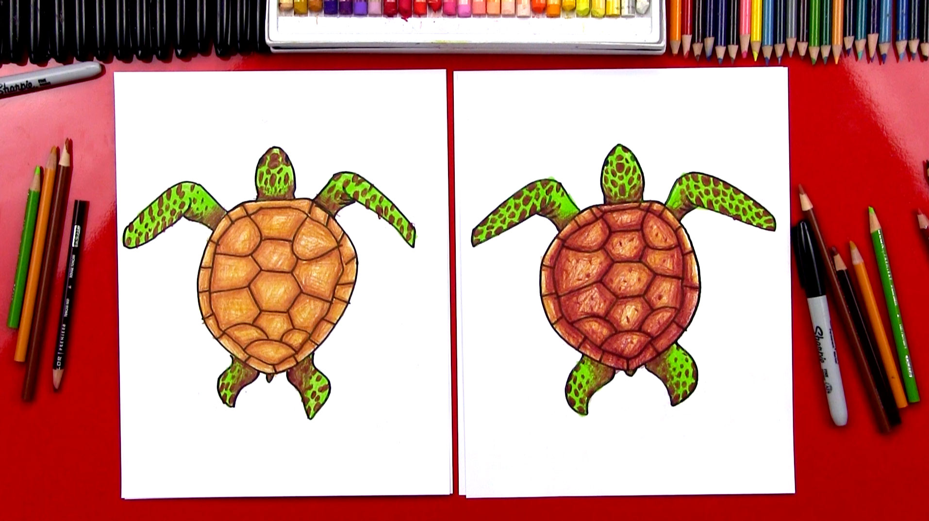1914x1074 How To Draw A Realistic Sea Turtle - Simple Sea Turtle Drawing