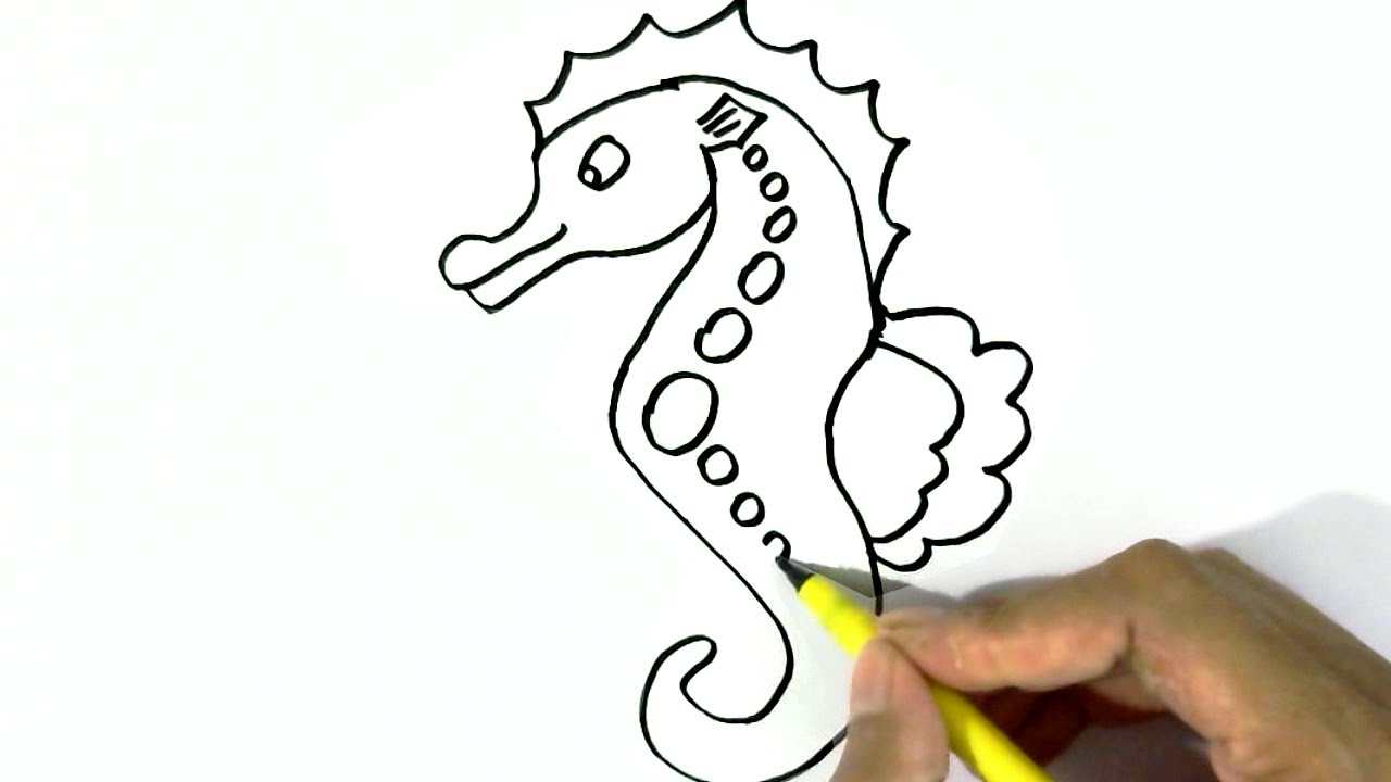 1280x720 How To Draw A Seahorse Easy Steps For Children, Kids, Beginners - Simple Seahorse Drawing
