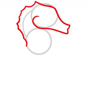 302x302 How To Draw How To Draw A Seahorse For Kids - Simple Seahorse Drawing