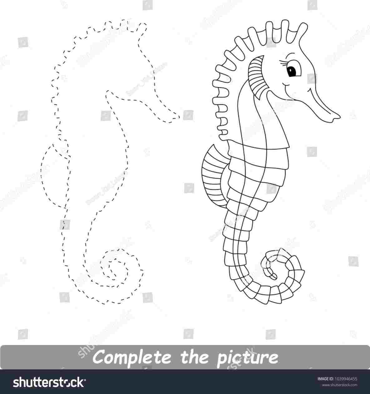 Контур рисунка морской конек по точками