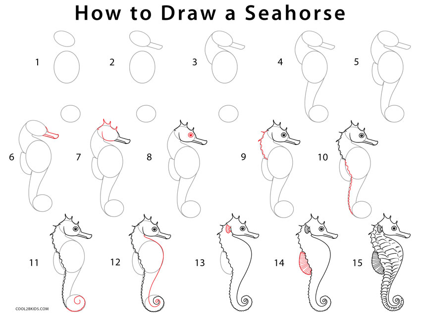 850x639 Seahorse Drawing Free Download - Simple Seahorse Drawing