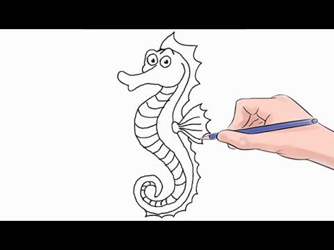 480x360 How To Draw A Seahorse Easy Step - Simple Seahorse Drawing