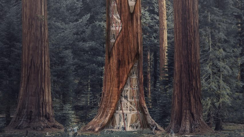 852x479 skyscraper competition proposal involves erecting towers within - Simple Sequoia Tree Drawing