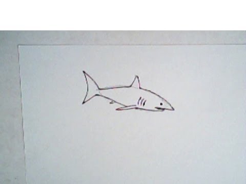 480x360 How To Draw A Shark - Simple Shark Drawing