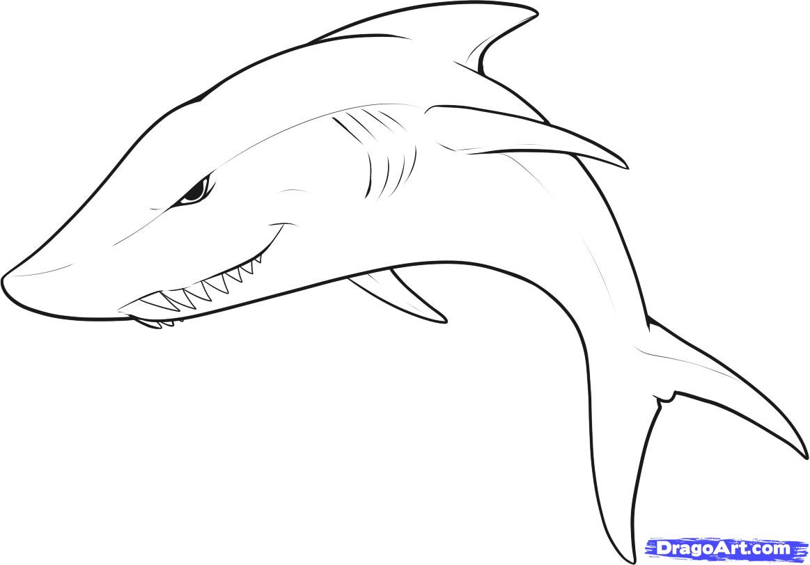 Белая акула карандашом