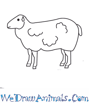 300x350 How To Draw A Sheep - Simple Sheep Drawing