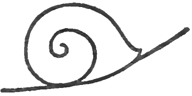 381x191 How To Draw Snails With Simple Step - Simple Shell Drawing