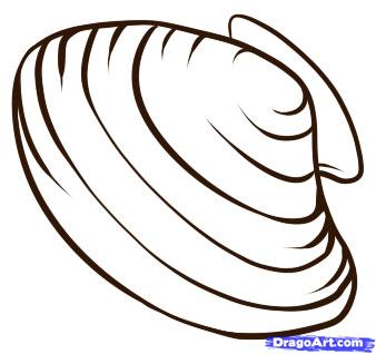 338x318 How To Draw A Shell, Step - Simple Shell Drawing
