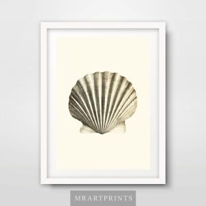 300x300 Seaside Simple Shell Drawing Art Print Poster Home Decor Room - Simple Shell Drawing