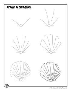 236x305 How To Draw Coral Learn How To Draw A Shell With Simple Step - Simple Shell Drawing