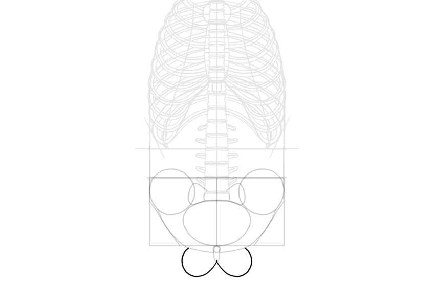 850x594 How To Draw A Skeleton Step - Simple Skeleton Drawing