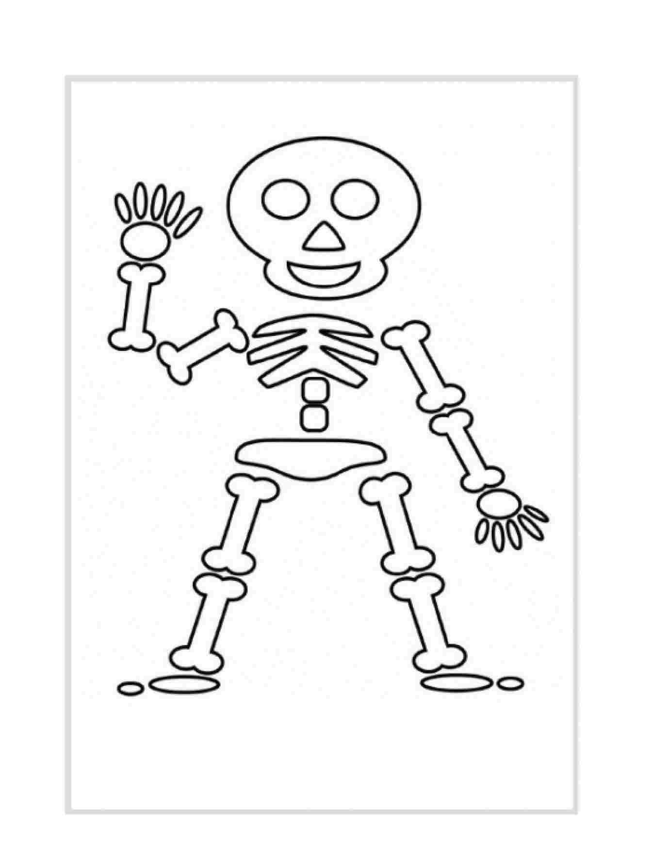 Simple Skeleton Drawing at Explore collection of