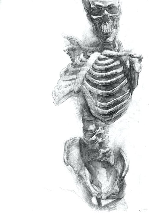 505x720 Drawing Skeleton Head Simple Enkrateia - Simple Skeleton Drawing